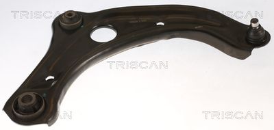 Õõtshoob, käändmik TRISCAN 8500 14577