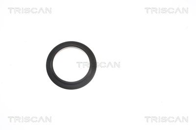 Ritgultnis, Amortizatora statnes balsts TRISCAN 8500 13924