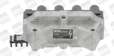 BorgWarner (BERU) ZS029