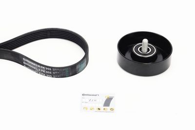  CONTINENTAL CTAM 6PK955K1