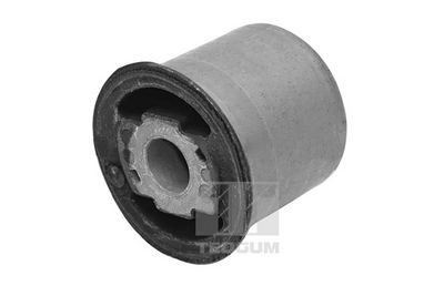 Piekare, Tilta sija TEDGUM TED34930