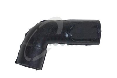 Šļūtene, Motora galvas vāka ventilācija TRUCKTEC AUTOMOTIVE 02.18.087