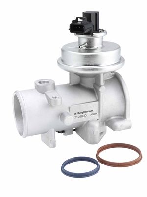 Izpl. gāzu recirkulācijas vārsts BorgWarner 712080D