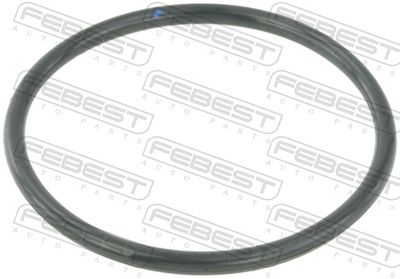 Blīve, Droseļvārsta īscaurule FEBEST RINGAH-010