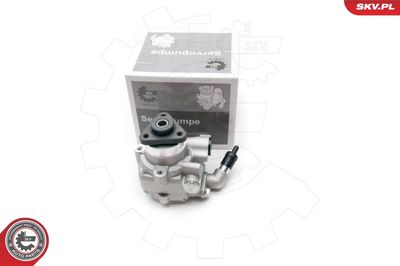 Hidrosūknis, Stūres iekārta ESEN SKV 10SKV194