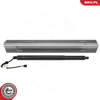 Электромотор, задняя дверь ESEN SKV 52SKV212