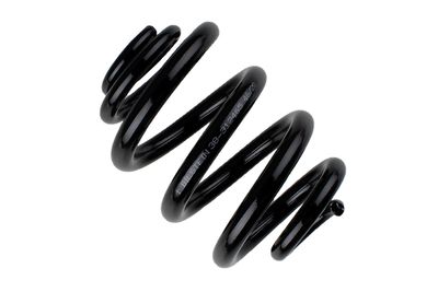 Balstiekārtas atspere BILSTEIN 38-312465