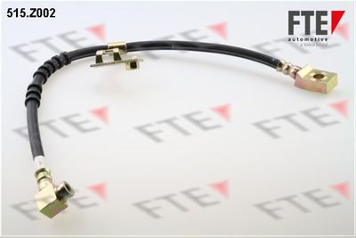 Тормозной шланг FTE 9240365