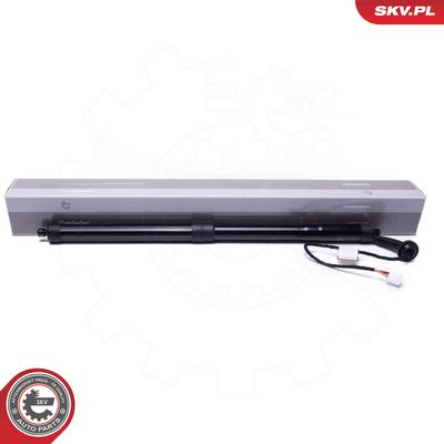 Электромотор, задняя дверь ESEN SKV 52SKV955