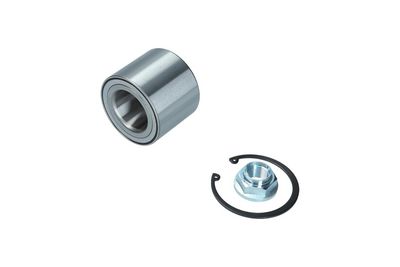 Комплект подшипника ступицы колеса KAMOKA 5600127