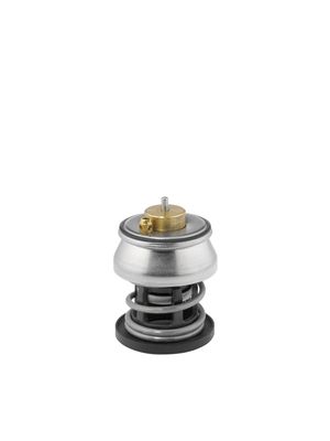 Termostats, Dzesēšanas šķidrums BorgWarner (Wahler) 412253.88D