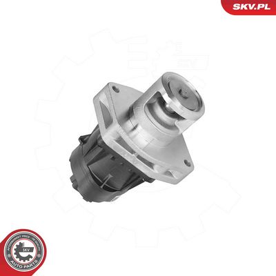 Клапан возврата ОГ ESEN SKV 14SKV302