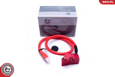 Akumulatoru baterijas adapteris ESEN SKV 96SKV314