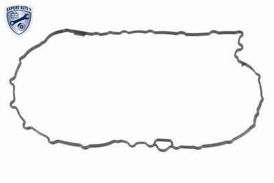 Blīve, Eļļas vācele-Autom. pārnesumkārba VAICO V10-5396