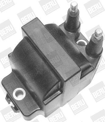 Aizdedzes spole BorgWarner (BERU) ZS421
