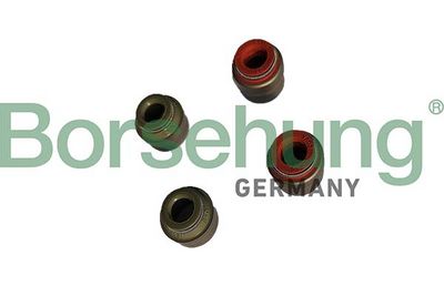 Уплотнительное кольцо, стержень клапана Borsehung B12534