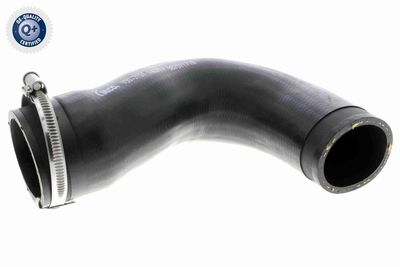 Pūtes sistēmas gaisa caurule VAICO V30-3151