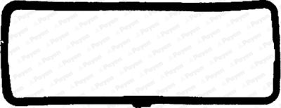 Прокладка, крышка головки цилиндра PAYEN JN658