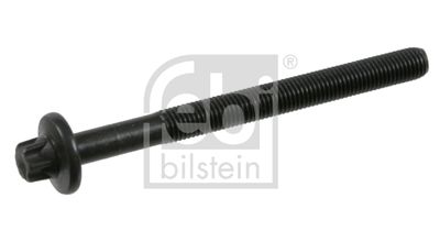 Болт головки цилиндра FEBI BILSTEIN 22411
