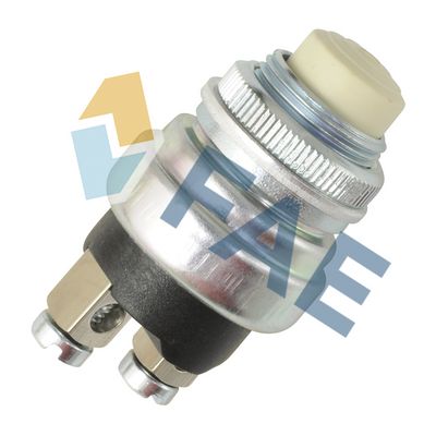 Slēdzis FAE 63170