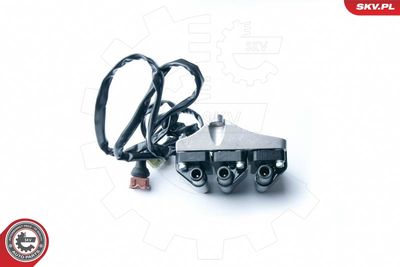 Aizdedzes spole ESEN SKV 03SKV217