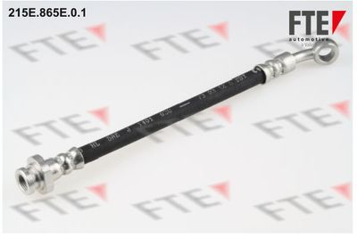 Тормозной шланг FTE 9240385