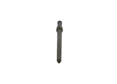 BOSCH F00RJ01029 Spiedienuzgalis, iesmidzināšanas sprausla
