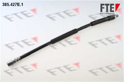 Тормозной шланг FTE 9240228