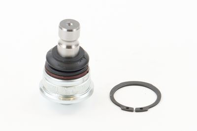 Balst-/Virzošais šarnīrs CONTINENTAL CTAM SUG1143