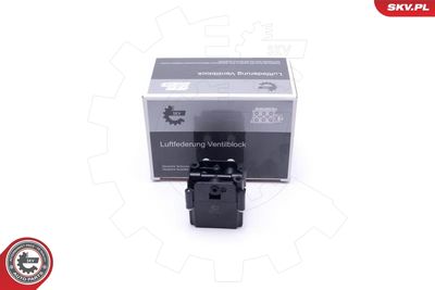 Vārsts, Pneimatiskā sistēma ESEN SKV 93SKV813