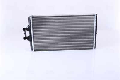 Siltummainis, Salona apsilde NISSENS 72005