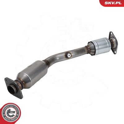 Katalizators ESEN SKV 62SKV171