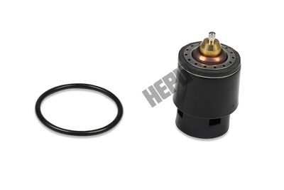 Termostats, Dzesēšanas šķidrums HEPU TM1241