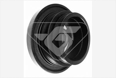 Ременный шкив, коленчатый вал HUTCHINSON DP055