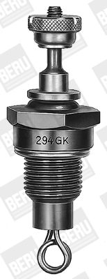Kvēlsvece BorgWarner (BERU) GD294