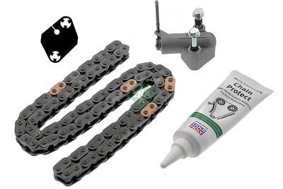 Комплект цели привода распредвала Schaeffler INA 559 1008 10