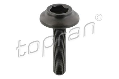 Болт подвески моста, приводной вал TOPRAN 120 979