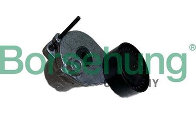 napinacz paska Borsehung B12467