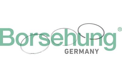 Комплект поршневых колец BORSEHUNG B10368