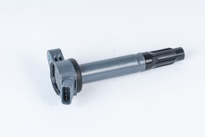 Катушка зажигания BorgWarner (BERU) ZSE202