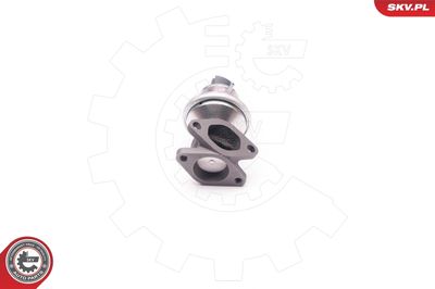Клапан возврата ОГ ESEN SKV 14SKV129