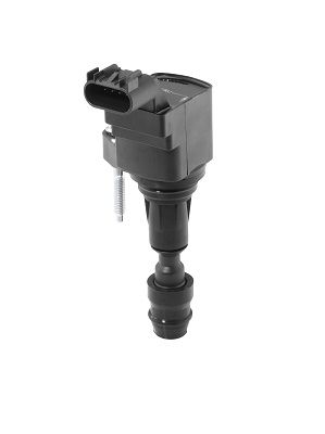 Катушка зажигания BorgWarner (BERU) ZSE212