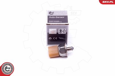 Devējs, Degvielas padeves spiediens ESEN SKV 17SKV581