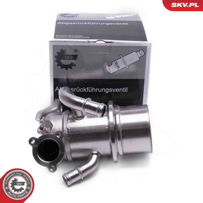 Клапан возврата ОГ ESEN SKV 14SKV243