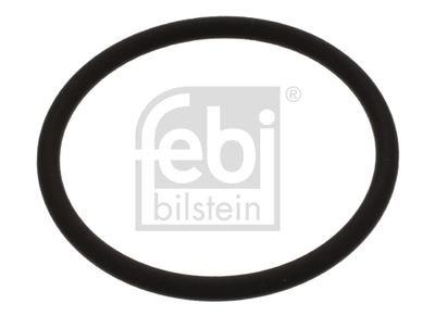 Уплотнительное кольцо, шахта форсунки FEBI BILSTEIN 44674