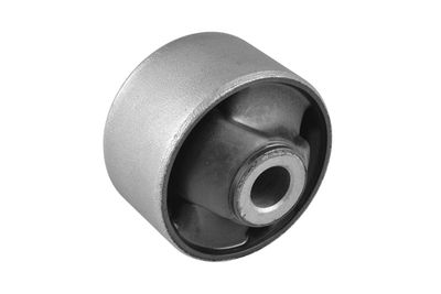 Piekare, Šķērssvira TEDGUM 00285298