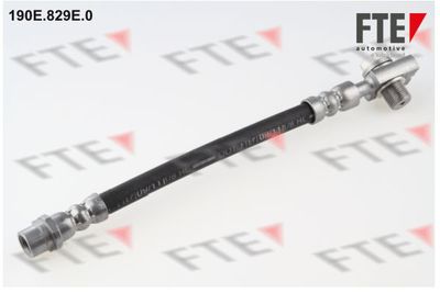 Тормозной шланг FTE 9240059