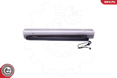 Электромотор, задняя дверь ESEN SKV 52SKV946