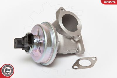 Клапан возврата ОГ ESEN SKV 14SKV061