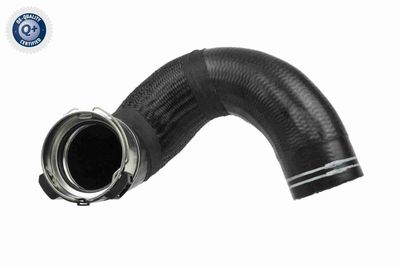 Pūtes sistēmas gaisa caurule VAICO V24-0676